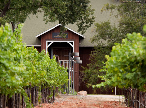 Wine Farm